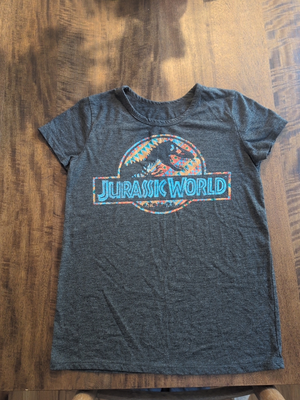 Jurassic World Short Sleeve Graphic Tee - Charcoal